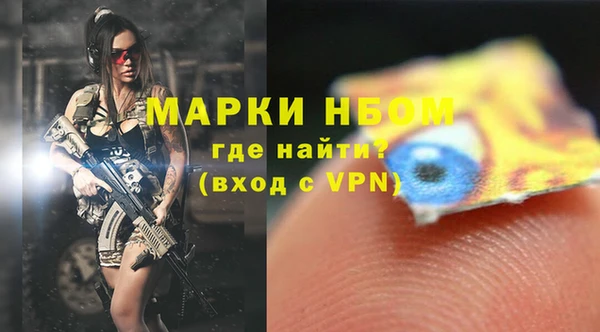 сатива Богородицк