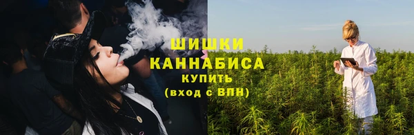 молекула духа Богородск