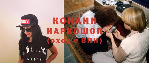 молекула духа Богородск