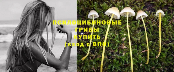 соль ск Бородино