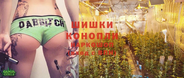 сатива Богородицк
