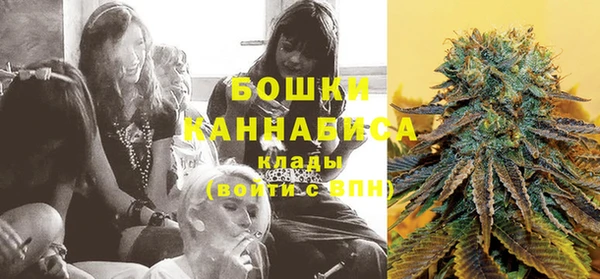 сатива Богородицк