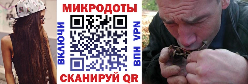 Галлюциногенные грибы прущие грибы  Кимры 